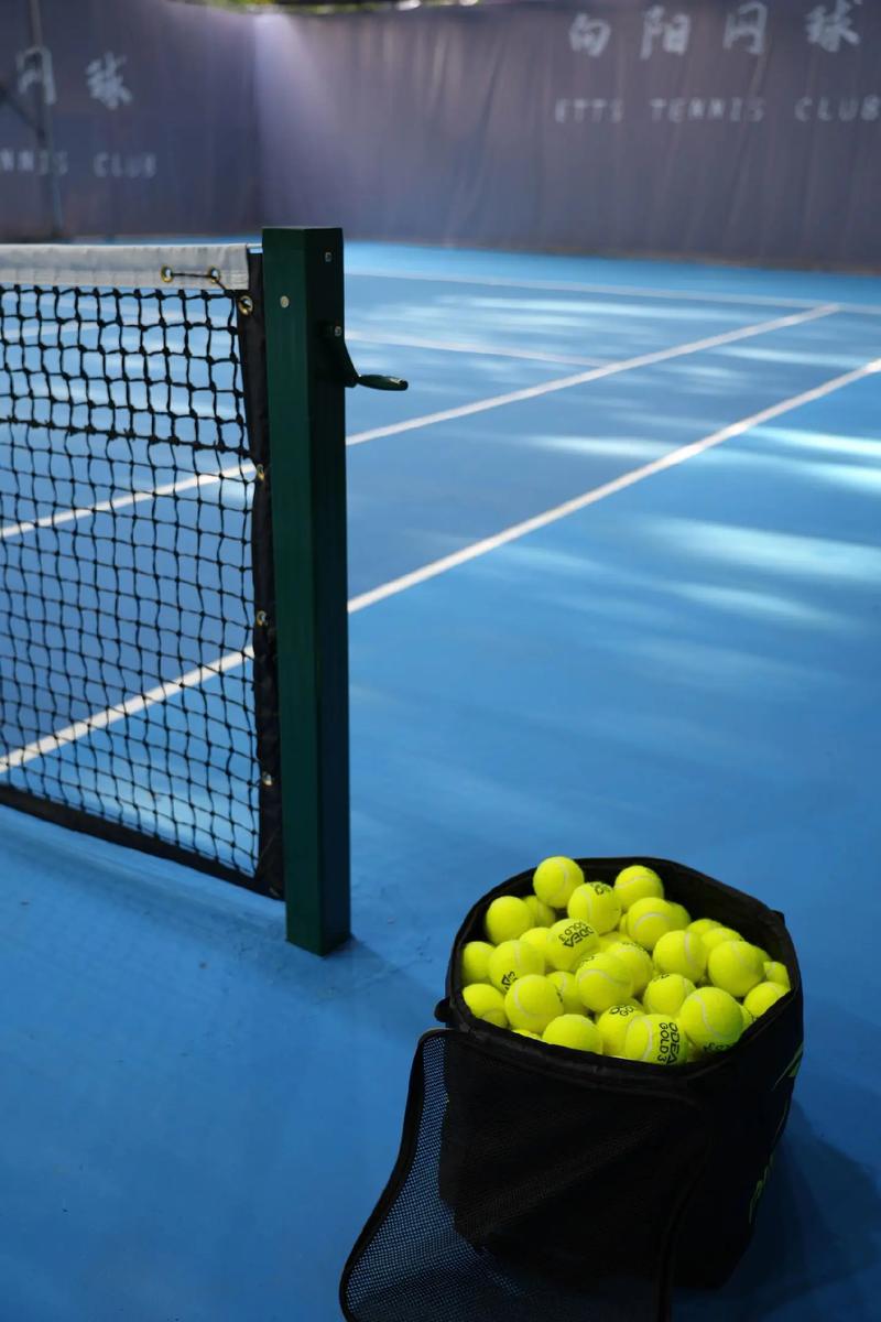 技术的应用 技术的应用