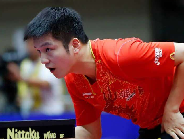 分析和坚定 分析和坚定